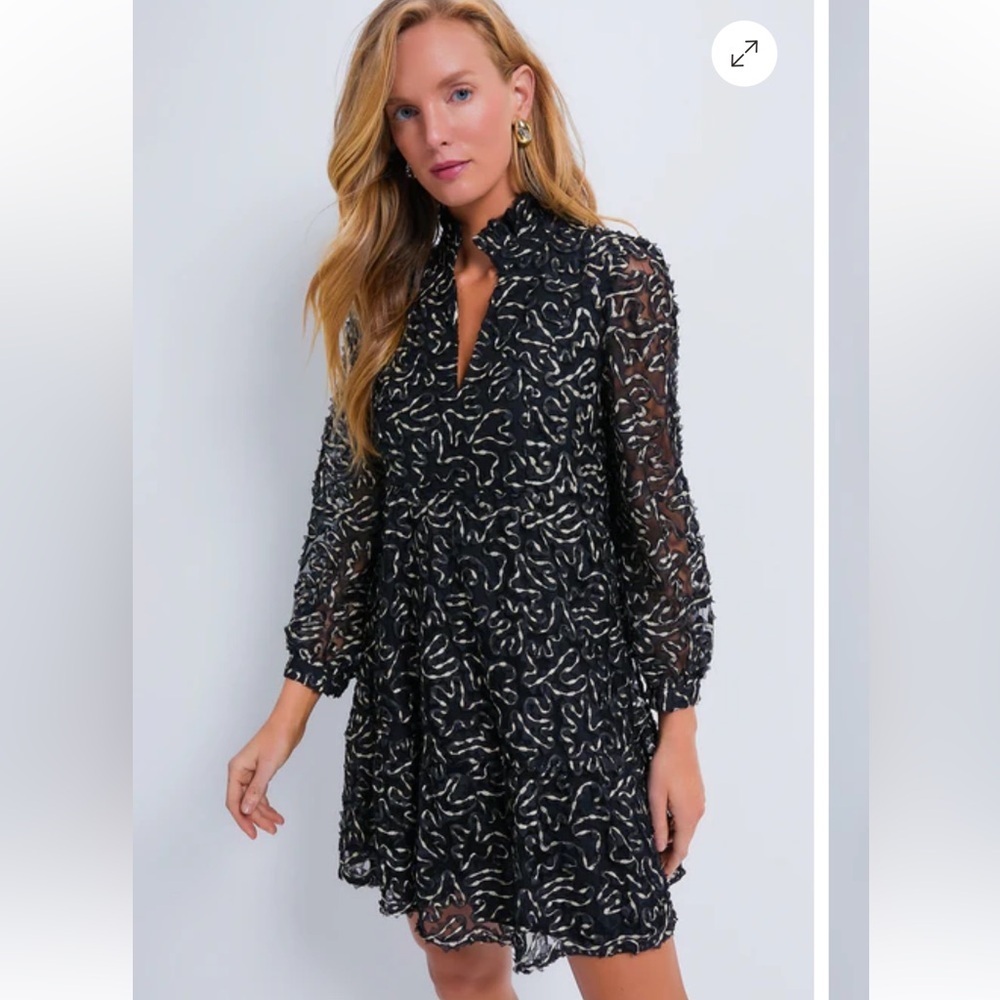 TUCKERNUCK
Nightly Organza Palmerston Dress RT $198 gold black holiday SMALL - Picture 5 of 12